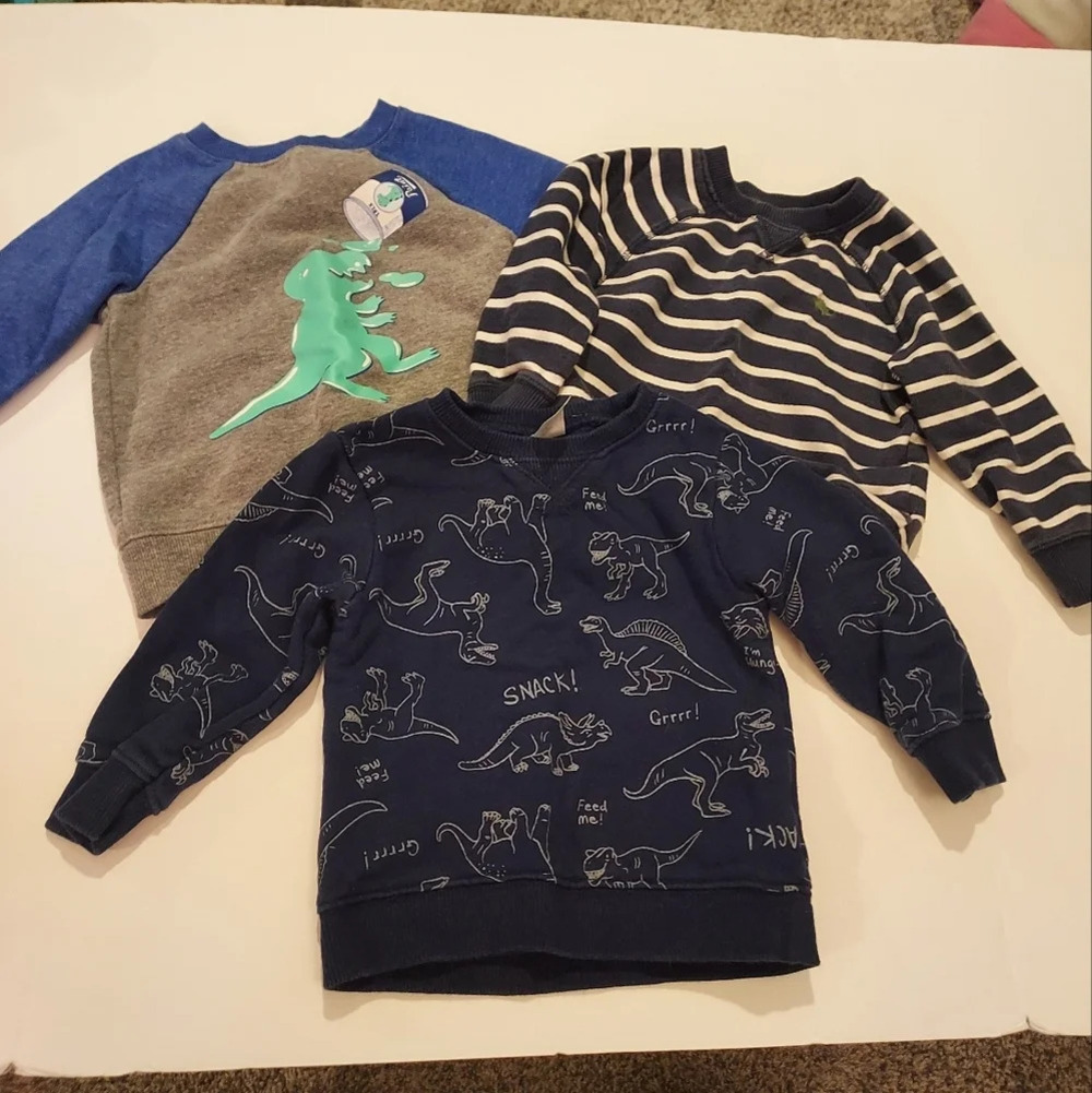 Set of 3 Baby Boy Dinosaur Theme Pull Over Sweatshirts in Size 18 Months